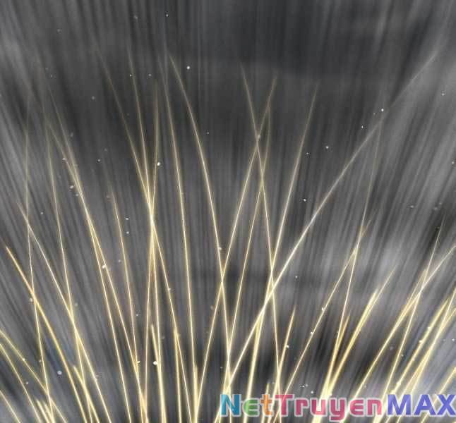 Phi Lôi Đạo Chap 163 - Next Chap 164