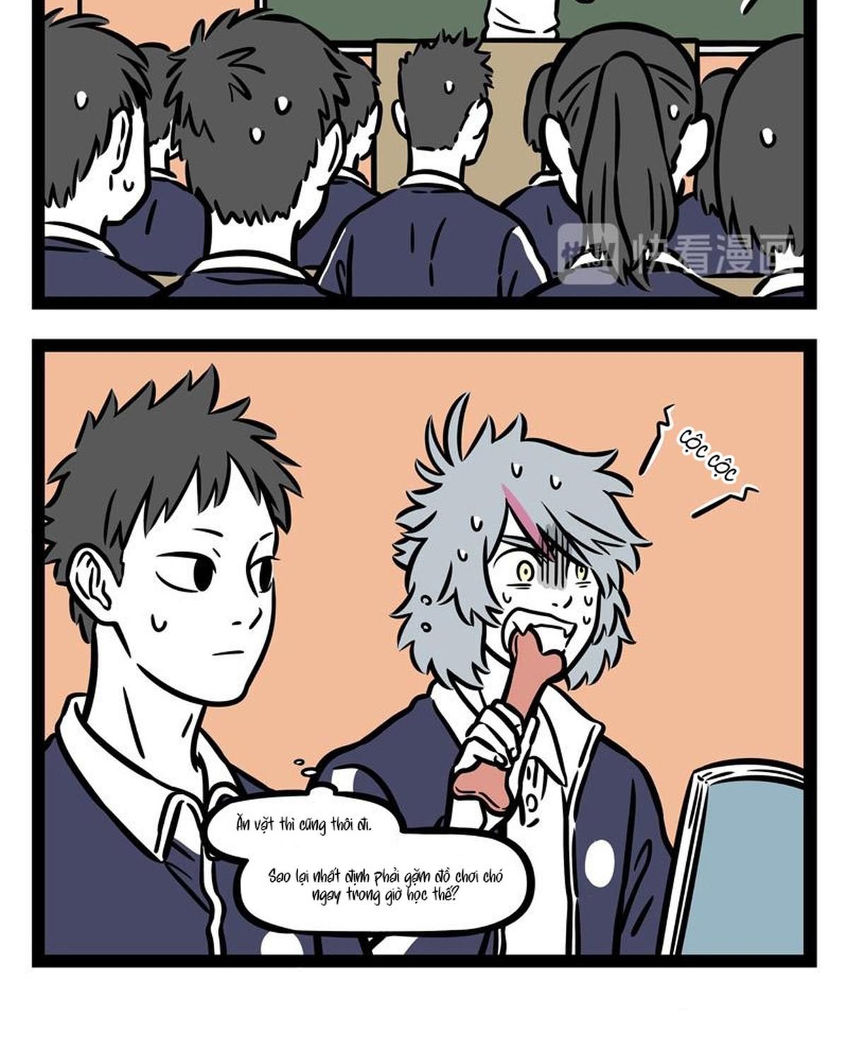 Phi Nhân Chap 246 - Next Chap 247