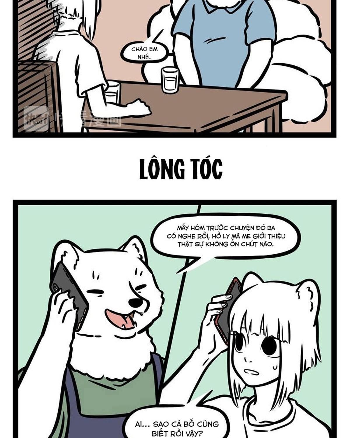 Phi Nhân Chap 248 - Next Chap 249