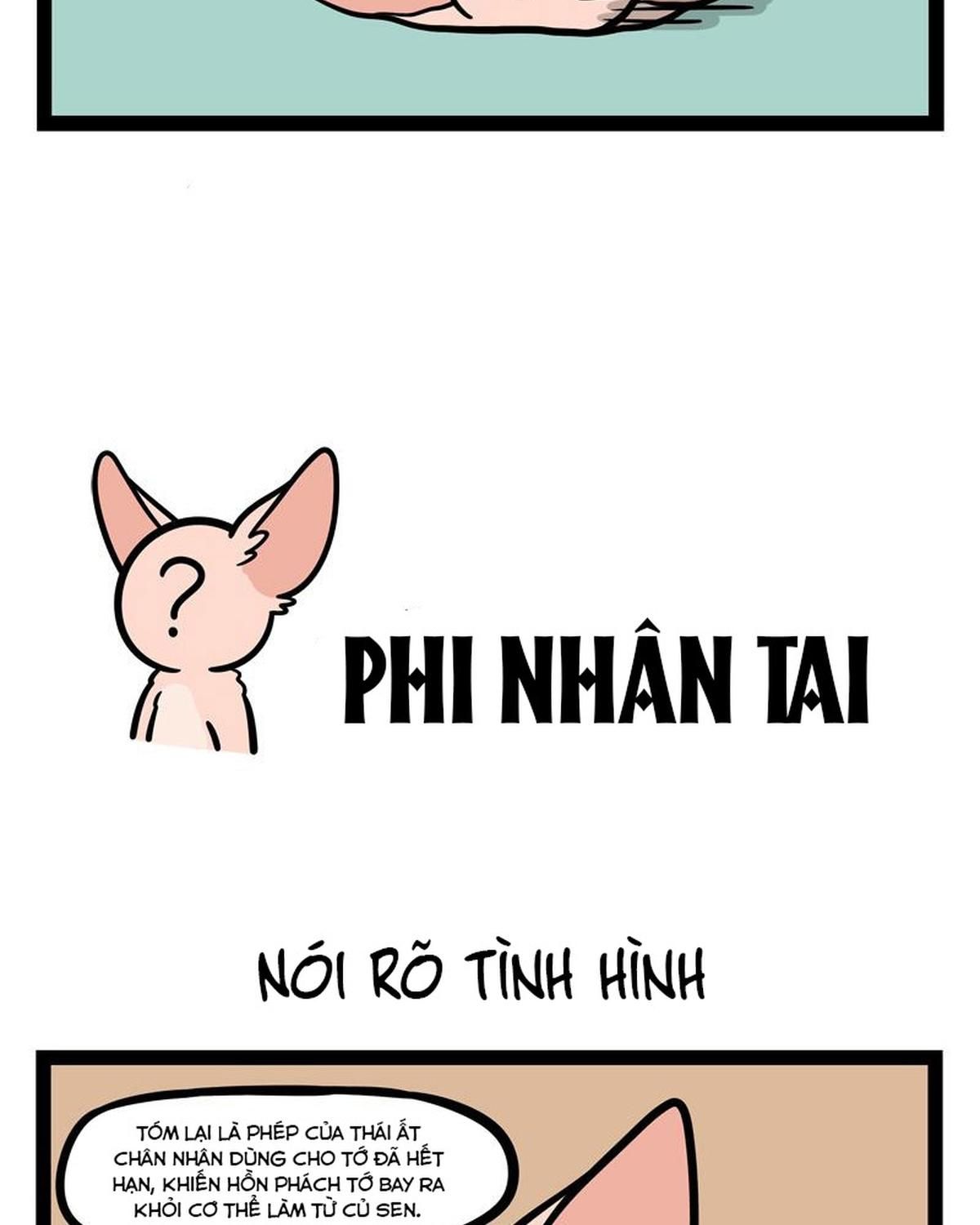 Phi Nhân Chap 251 - Next Chap 252