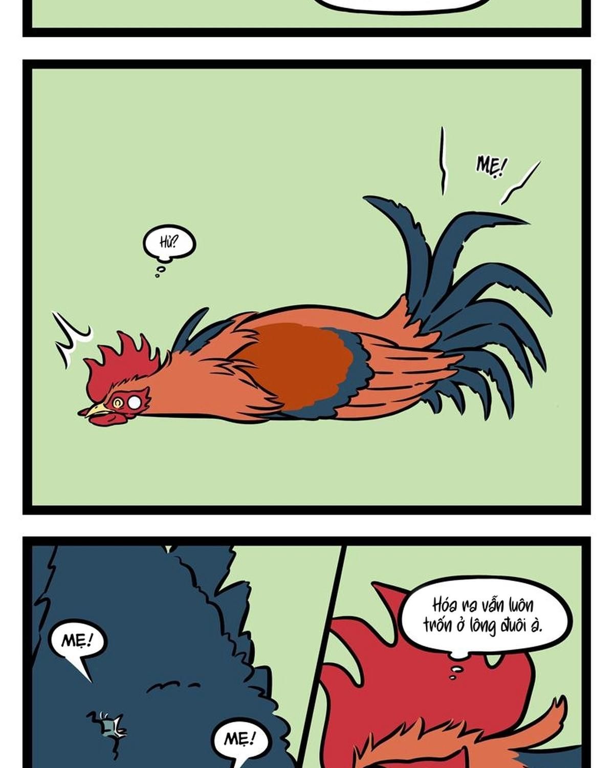 Phi Nhân Chap 269 - Next Chap 270