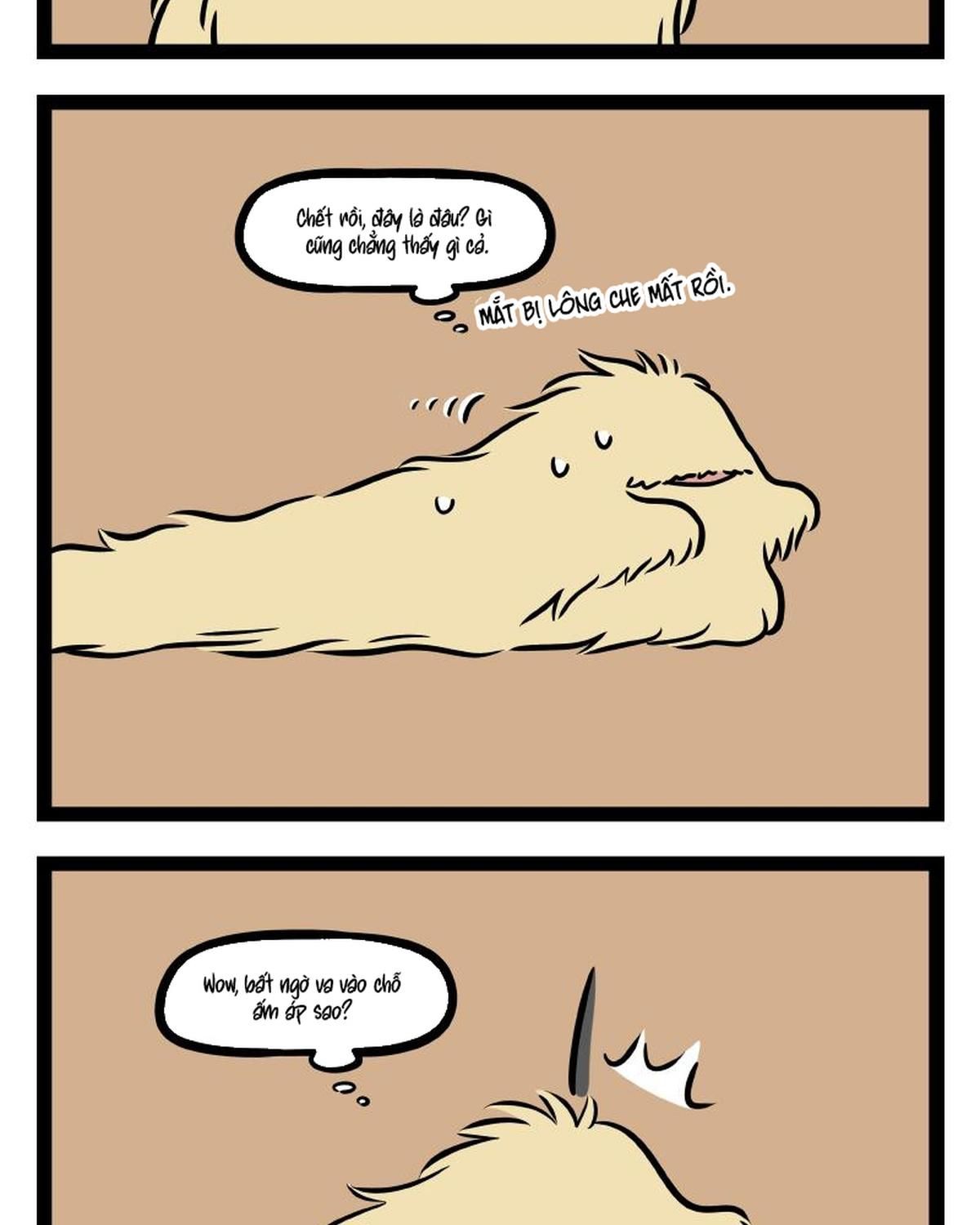 Phi Nhân Chap 289 - Next Chap 290