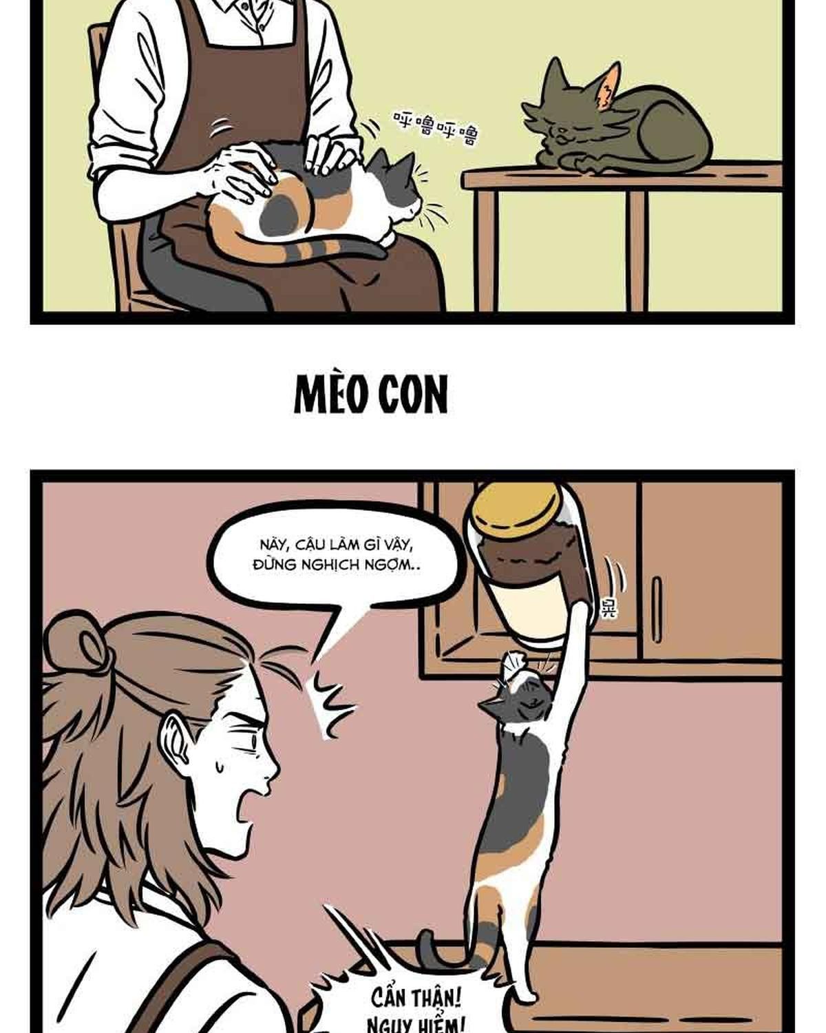 Phi Nhân Chap 302 - Next Chap 303