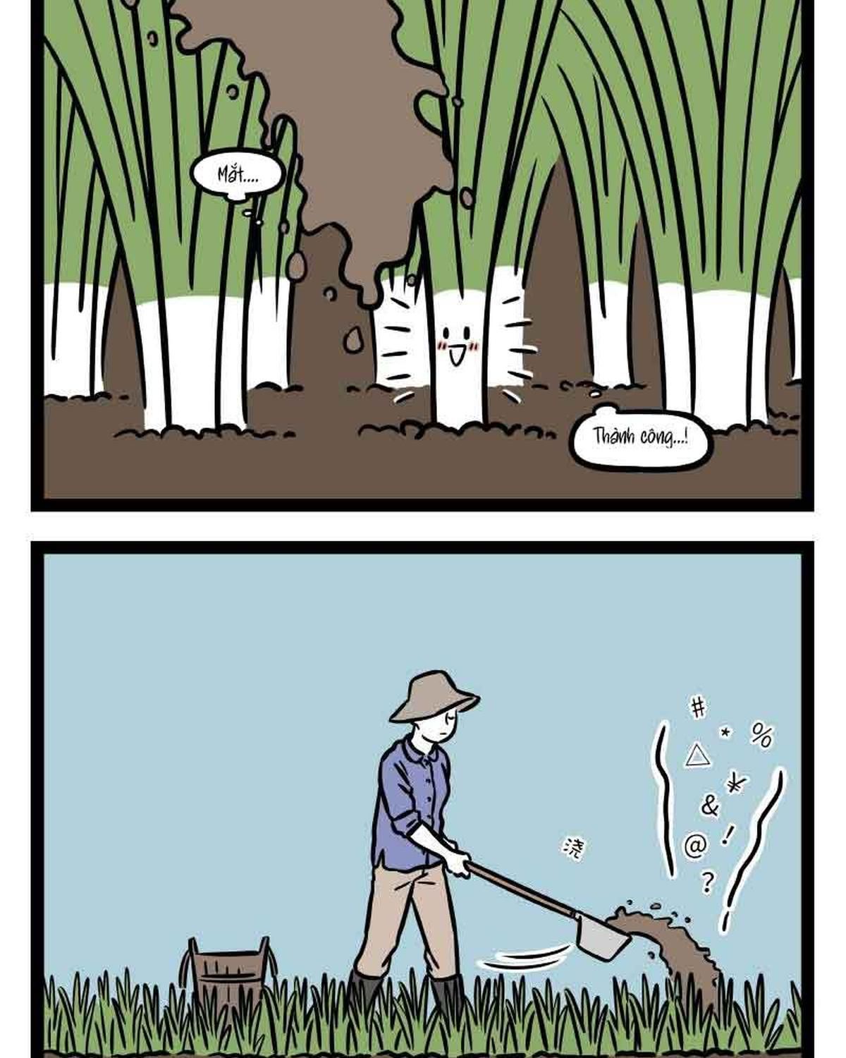 Phi Nhân Chap 303 - Next Chap 304