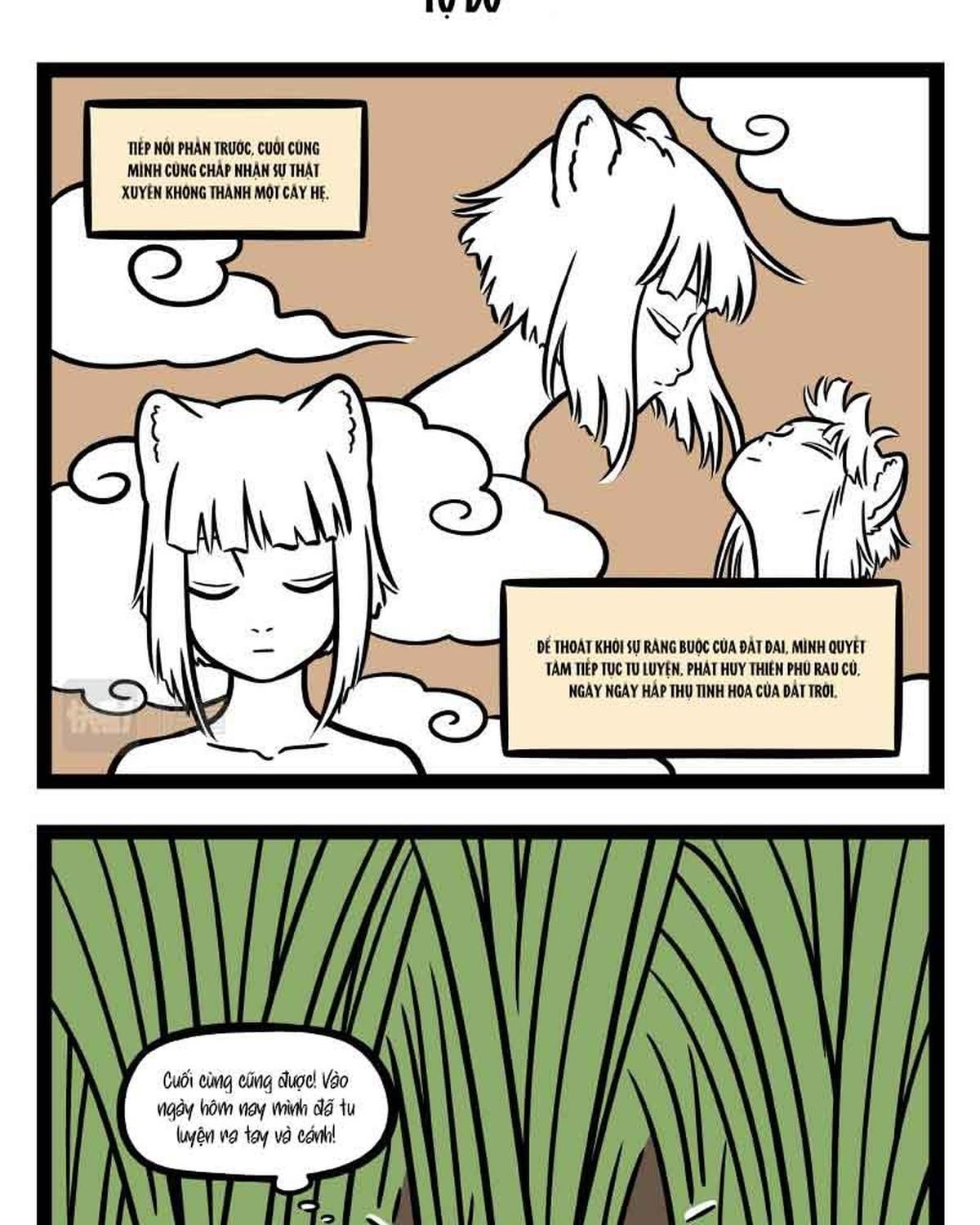 Phi Nhân Chap 304 - Next Chap 305