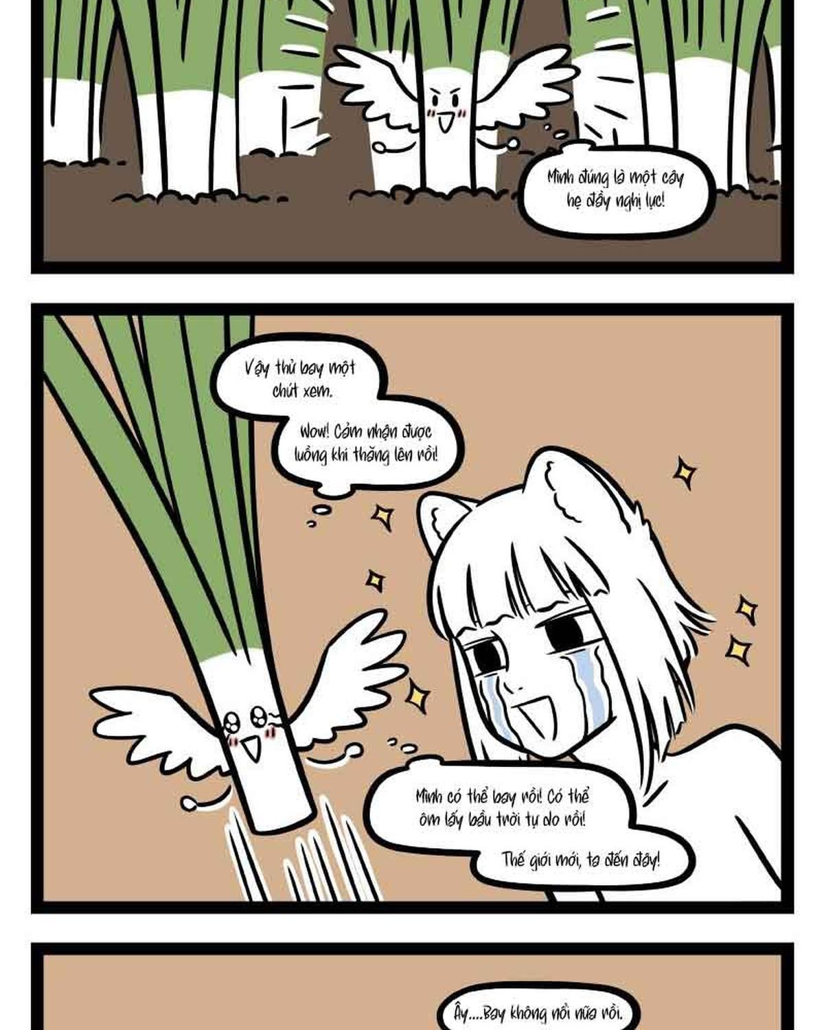 Phi Nhân Chap 304 - Next Chap 305