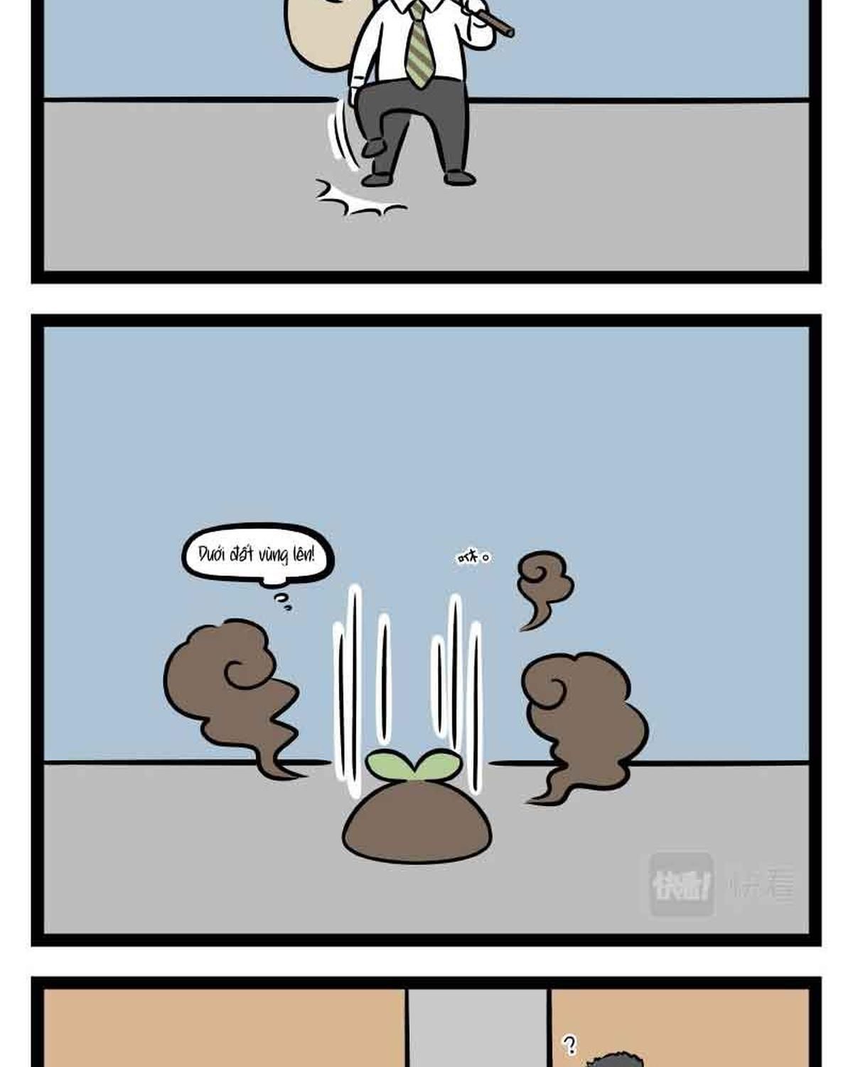 Phi Nhân Chap 305 - Next Chap 306