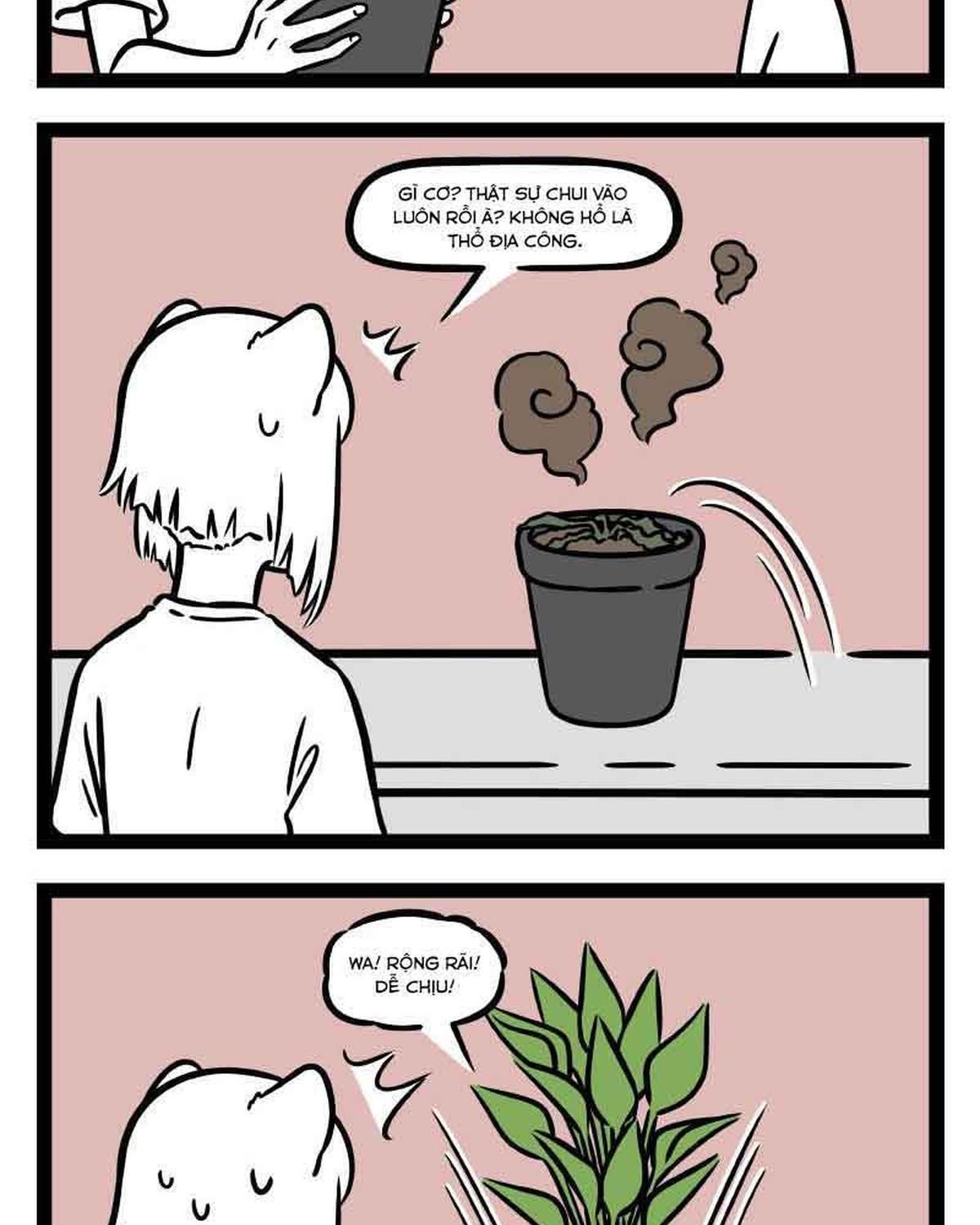 Phi Nhân Chap 306 - Next Chap 307