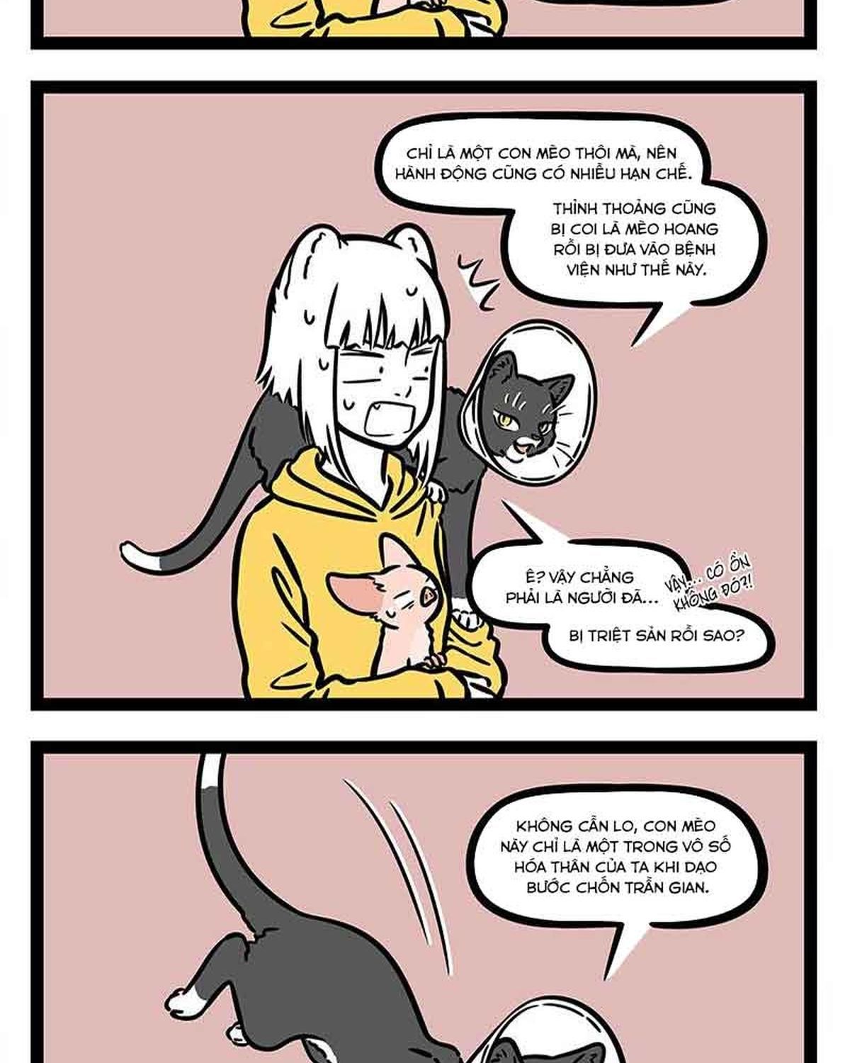 Phi Nhân Chap 309 - Next Chap 310