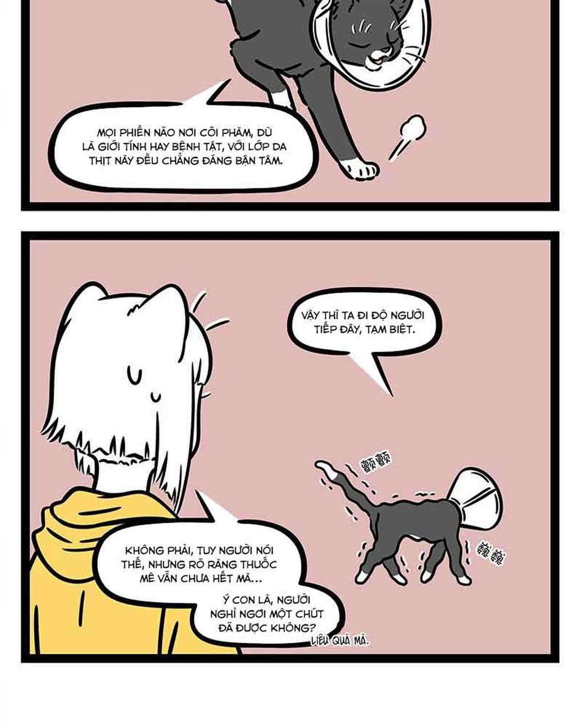 Phi Nhân Chap 309 - Next Chap 310
