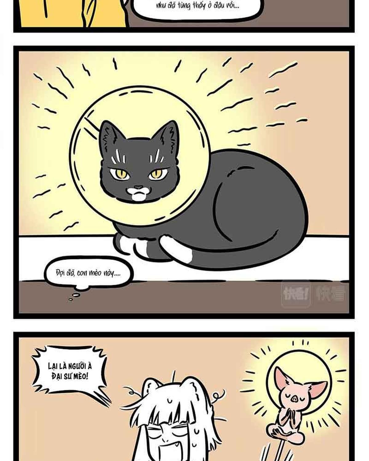 Phi Nhân Chap 309 - Next Chap 310