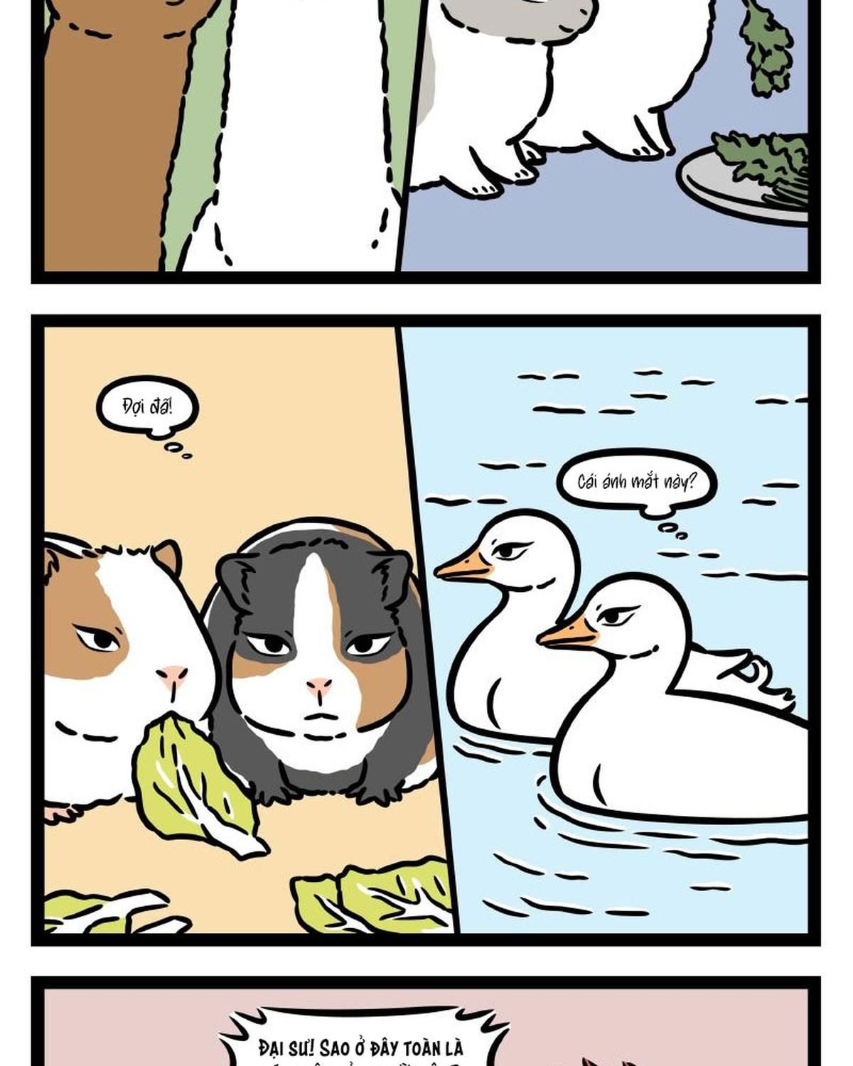 Phi Nhân Chap 337 - Next Chap 338