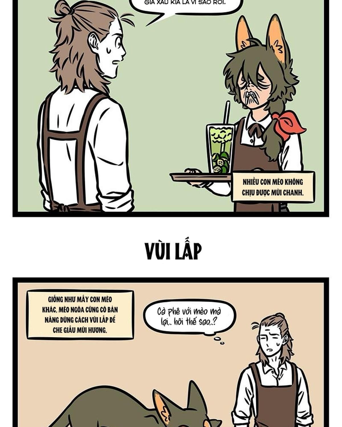 Phi Nhân Chap 350 - Next Chap 351