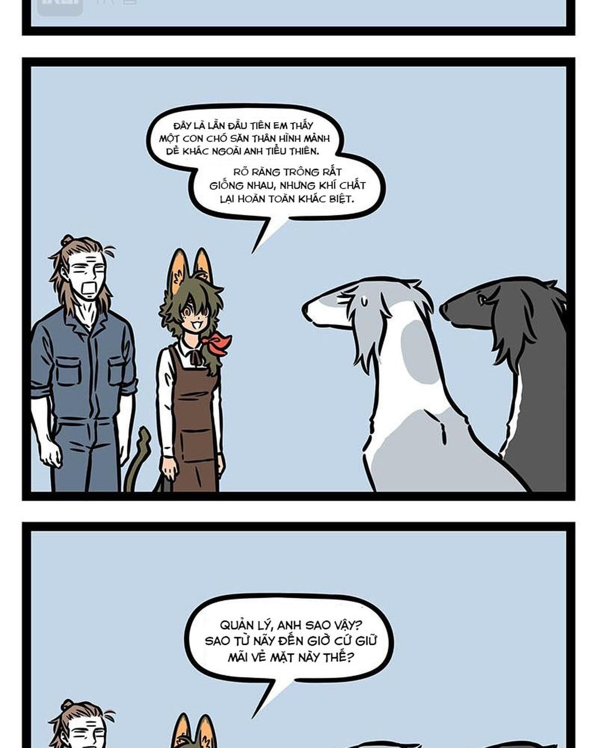 Phi Nhân Chap 355 - Next Chap 356