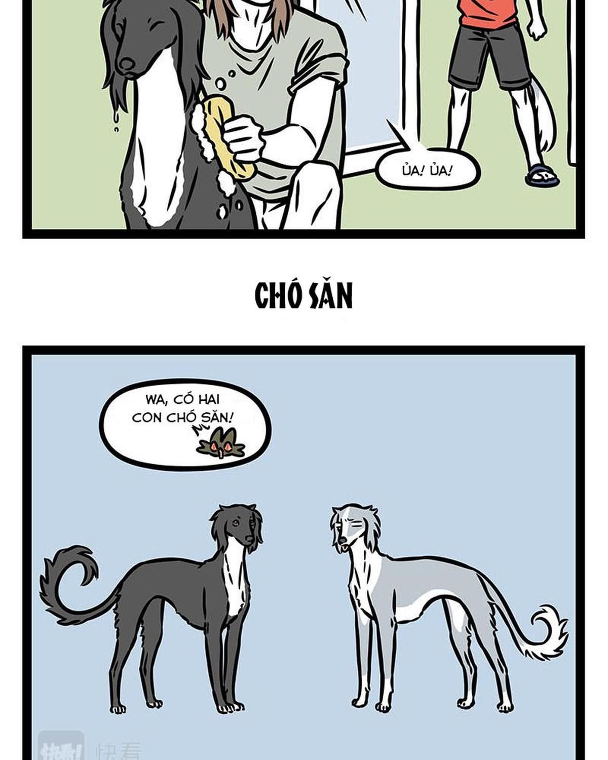 Phi Nhân Chap 355 - Next Chap 356