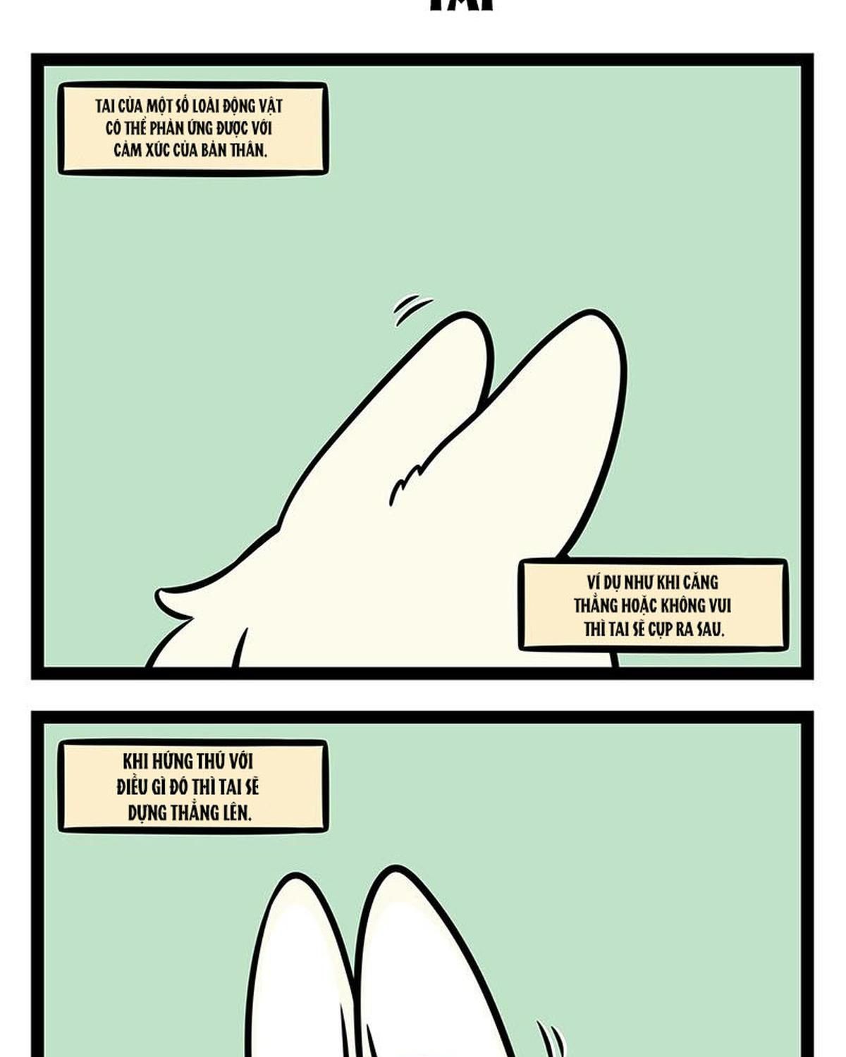 Phi Nhân Chap 376 - Next Chap 377