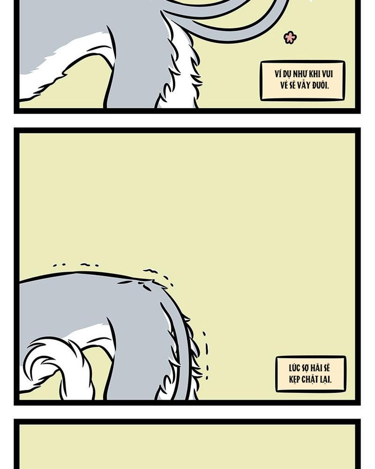 Phi Nhân Chap 376 - Next Chap 377