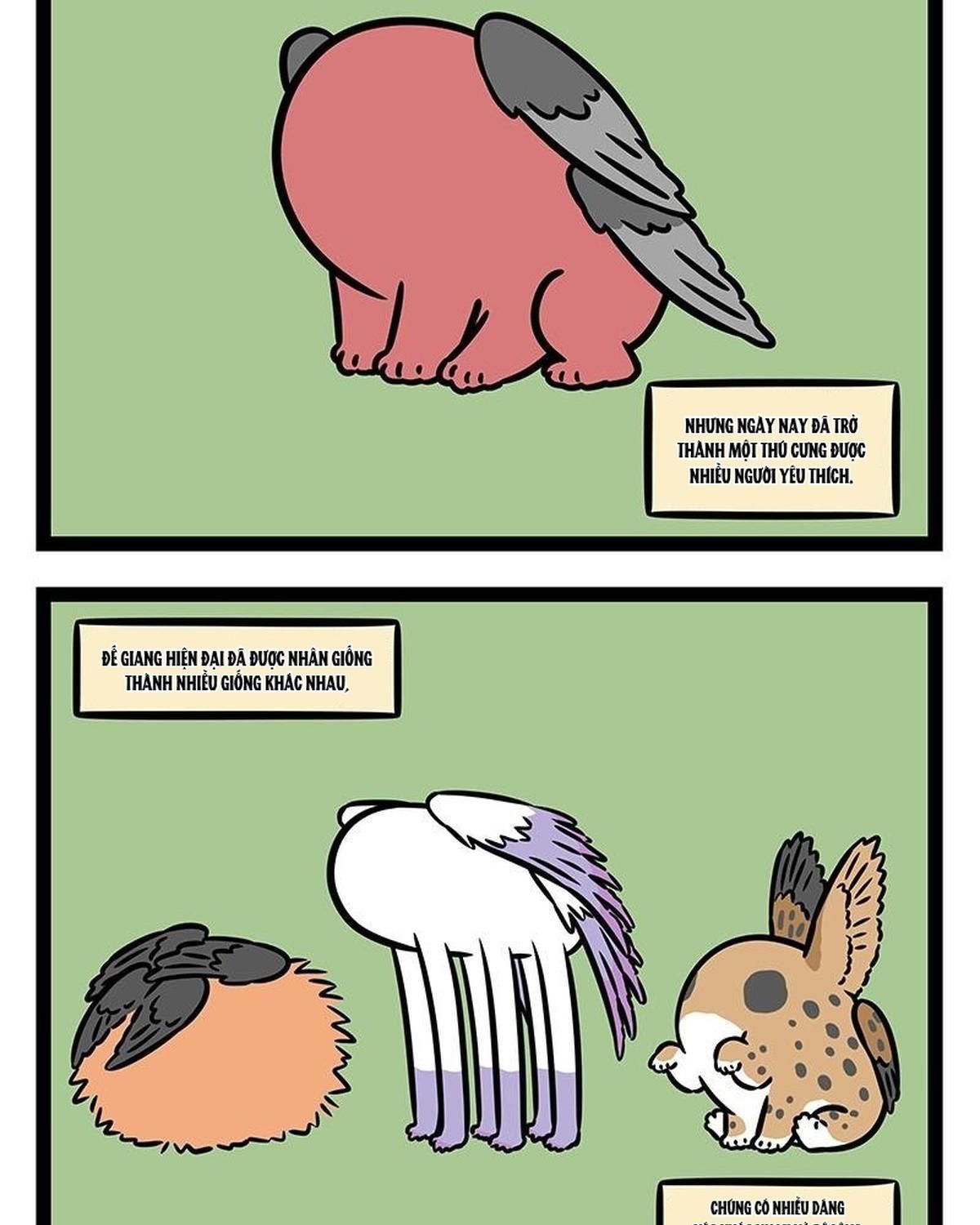 Phi Nhân Chap 419 - Next Chap 420