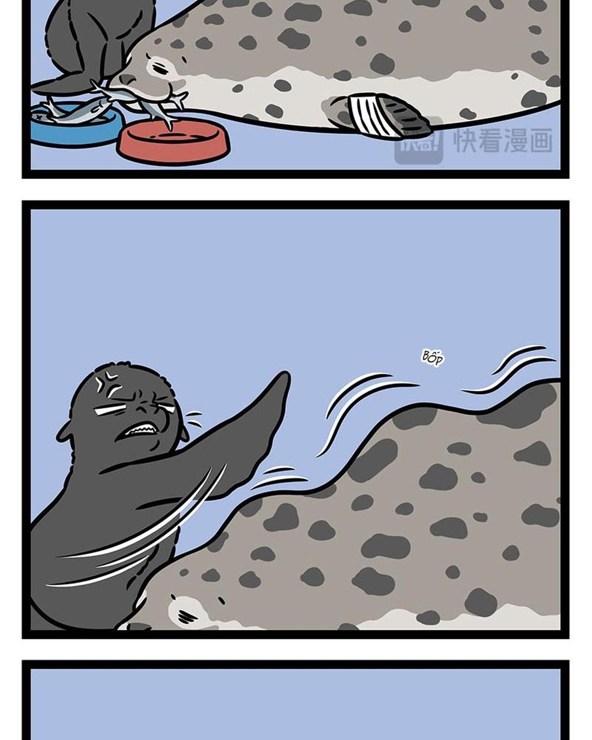 Phi Nhân Chap 429 - Next Chap 430