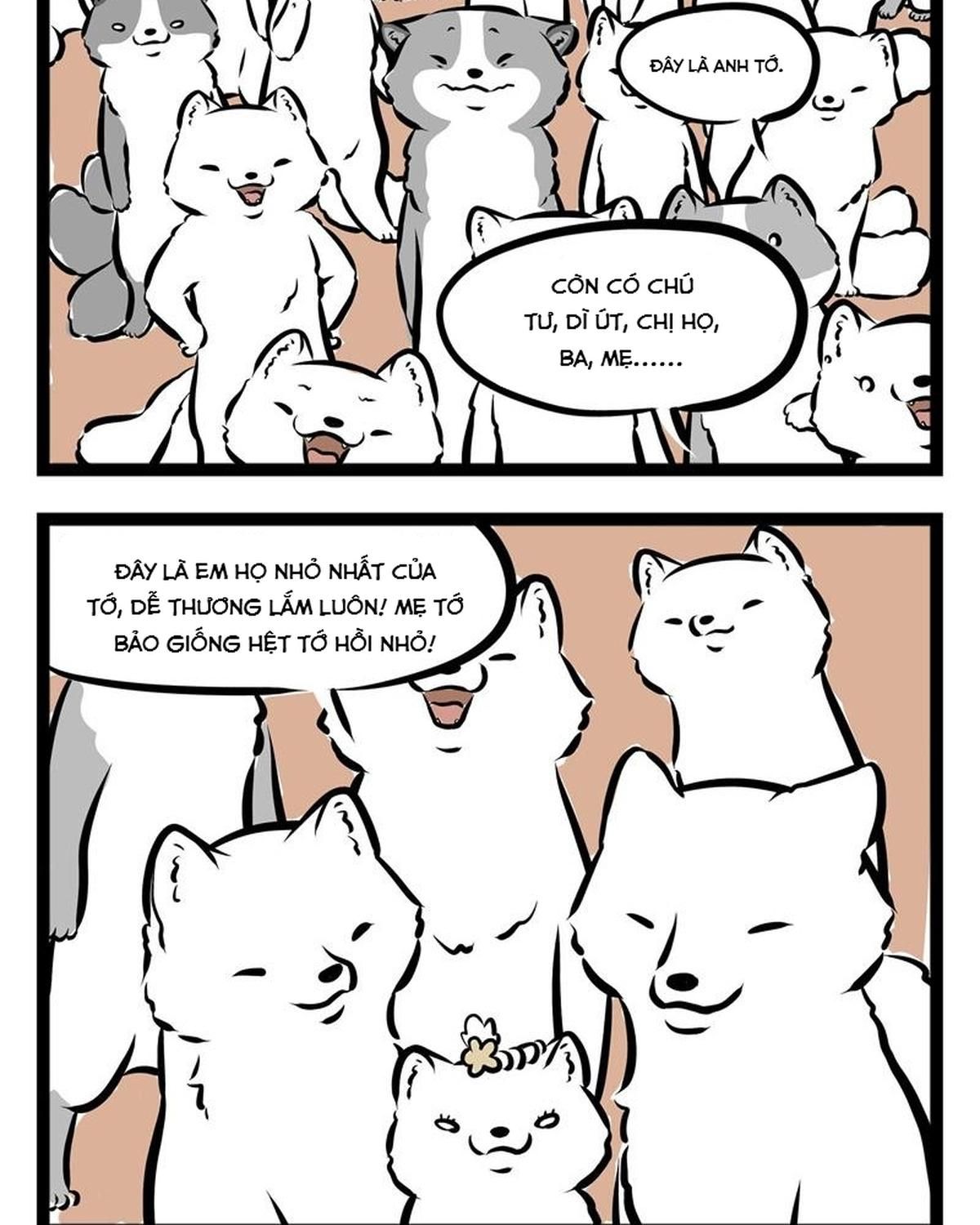 Phi Nhân Chap 52 - Next Chap 53