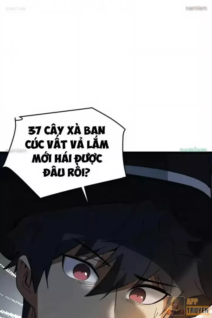 Phổ La Chi Chủ Chap 24 - Next Chap 25