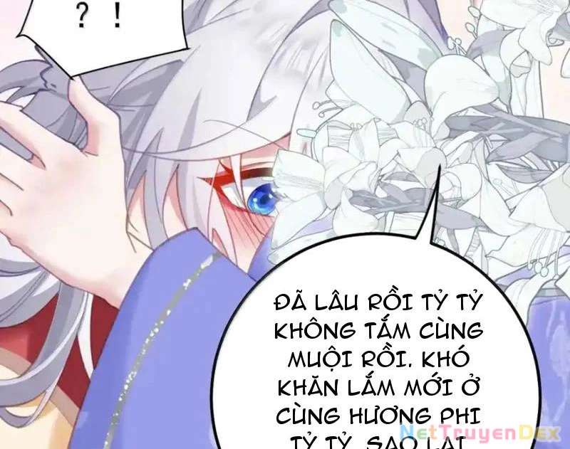 Phơi Bày Thân Phận Nữ Của Hoàng Đế Chap 23 - Next Chap 24