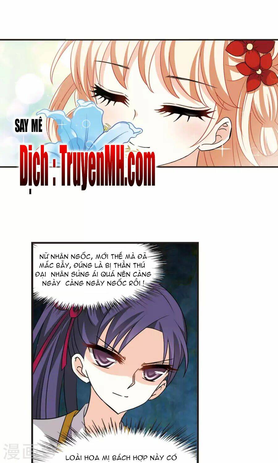 Phong Khởi Thương Lam Chap 132 - Next Chap 133