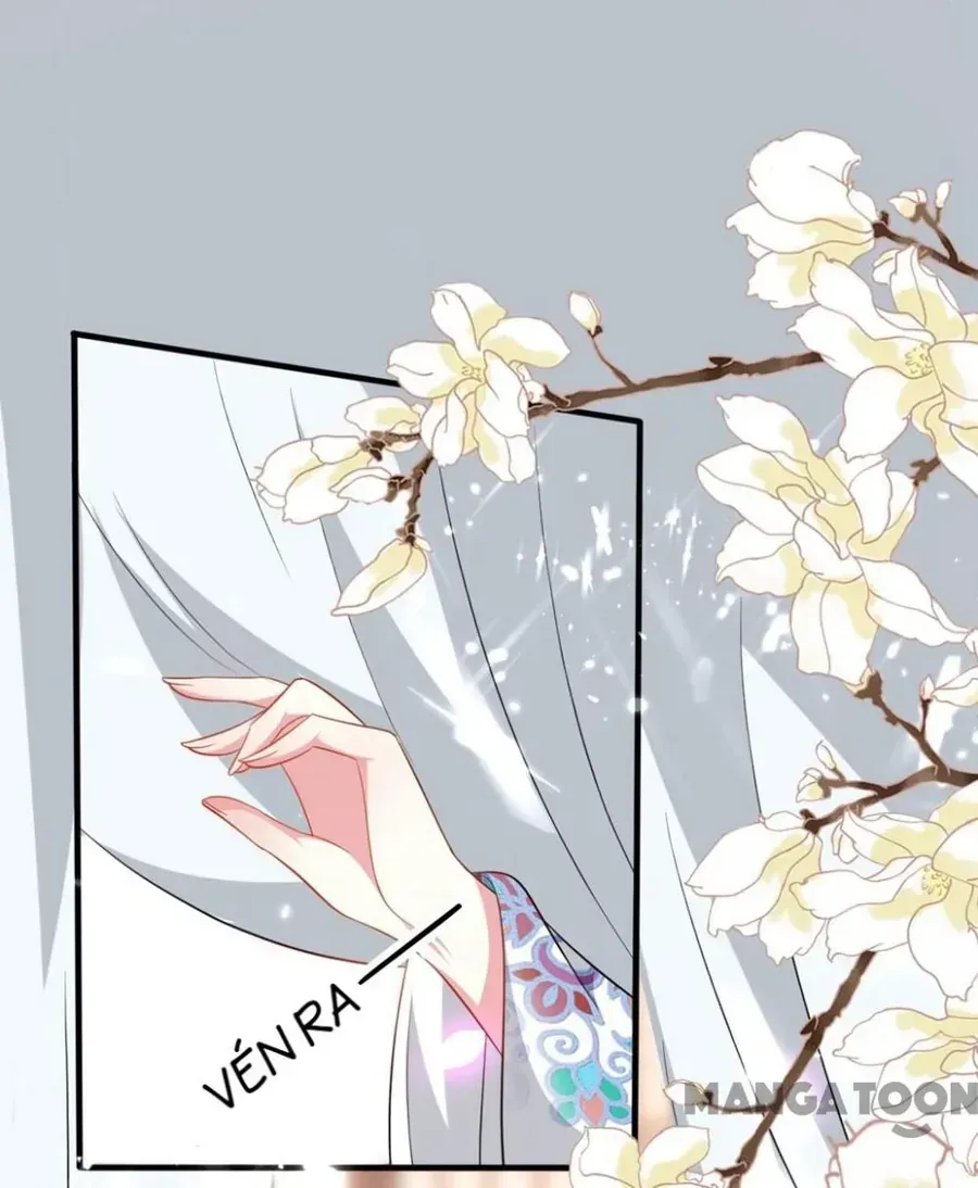 Phúc Hắc Vương Gia Đừng Làm Loạn Chap 153 - Next Chap 154