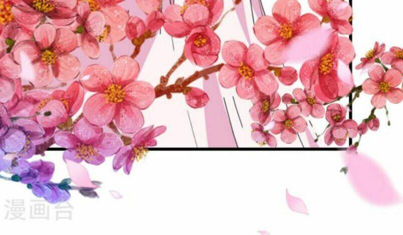 Phúc Hắc Vương Gia Đừng Làm Loạn Chap 17 - Next Chap 18
