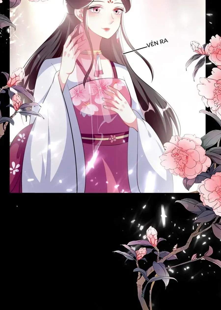 Phúc Hắc Vương Gia Đừng Làm Loạn Chap 256 - Next Chap 257