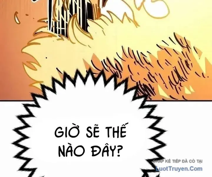 Player Chap 252 - Next Chap 253