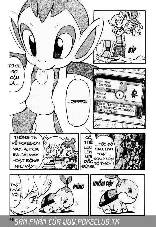 Pokemon Special Chap 339 - Next Chap 340