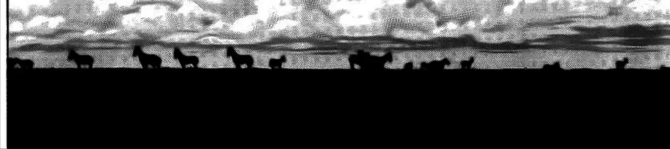 Q And A Chap 10 - Next Chap 11