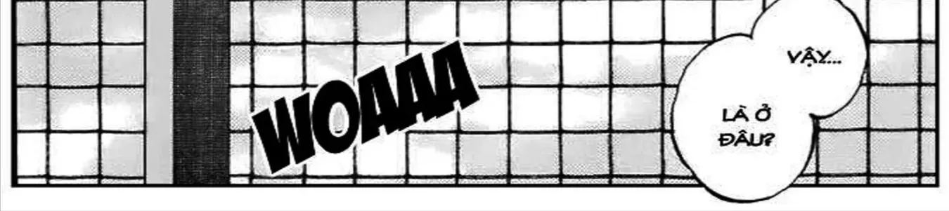 Q And A Chap 12 - Next Chap 13