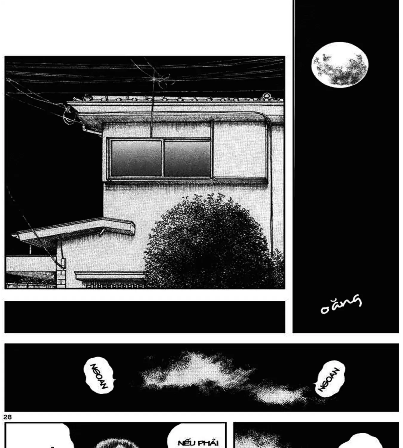 Q And A Chap 12 - Next Chap 13