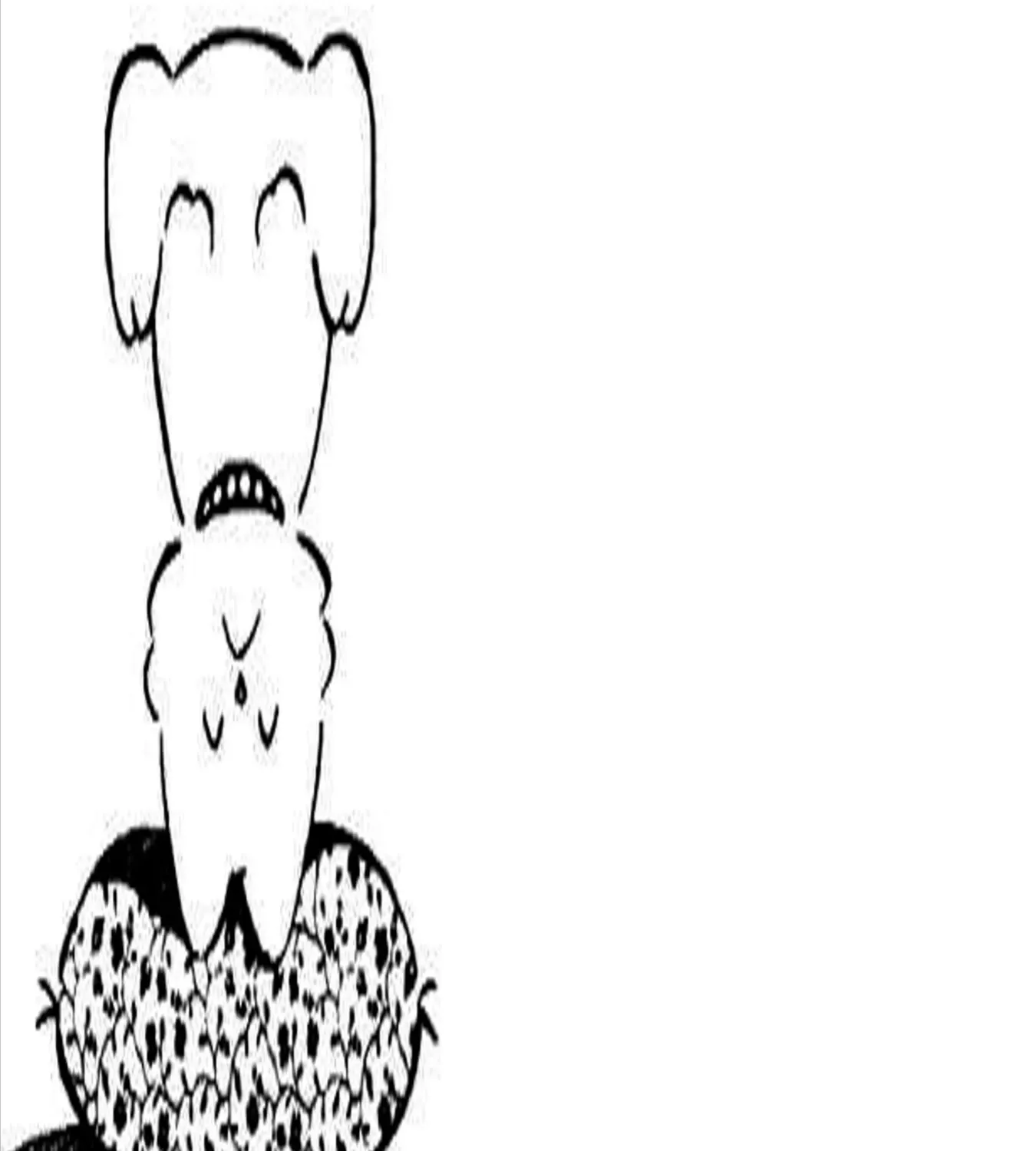 Q And A Chap 12 - Next Chap 13