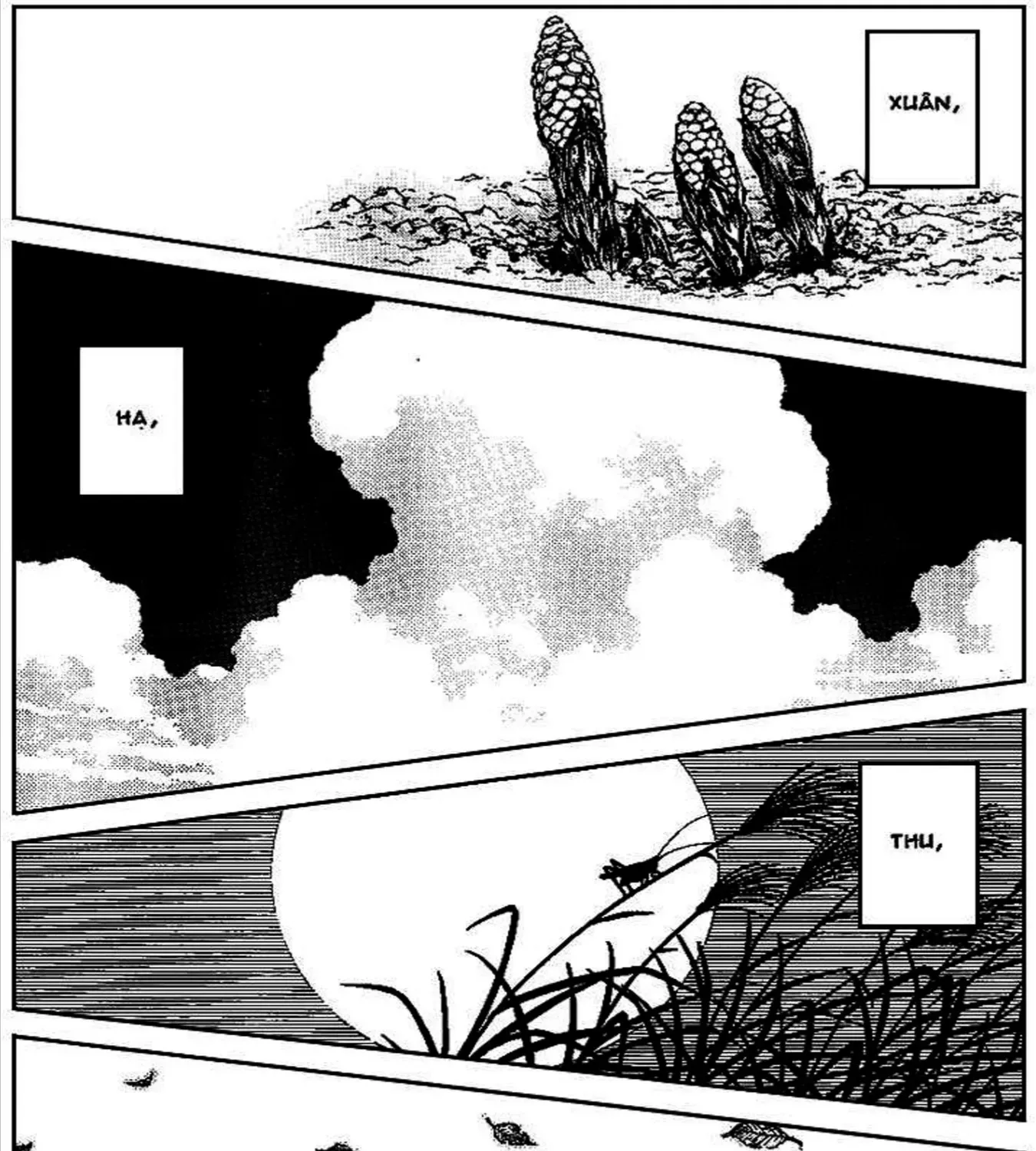Q And A Chap 14 - Next Chap 15