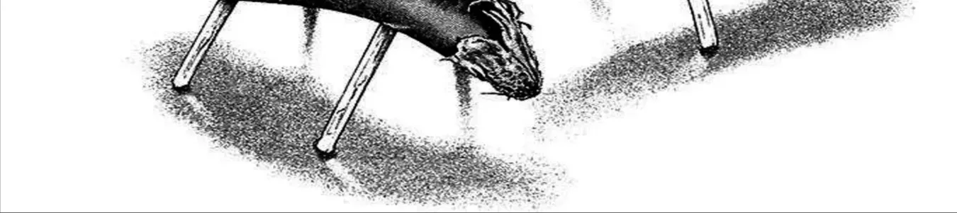 Q And A Chap 22 - Next Chap 23