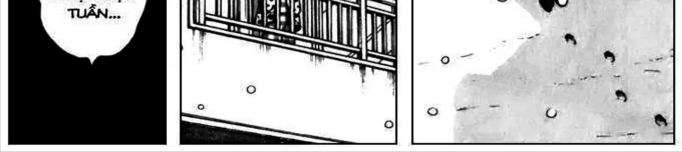 Q And A Chap 32 - Next Chap 33