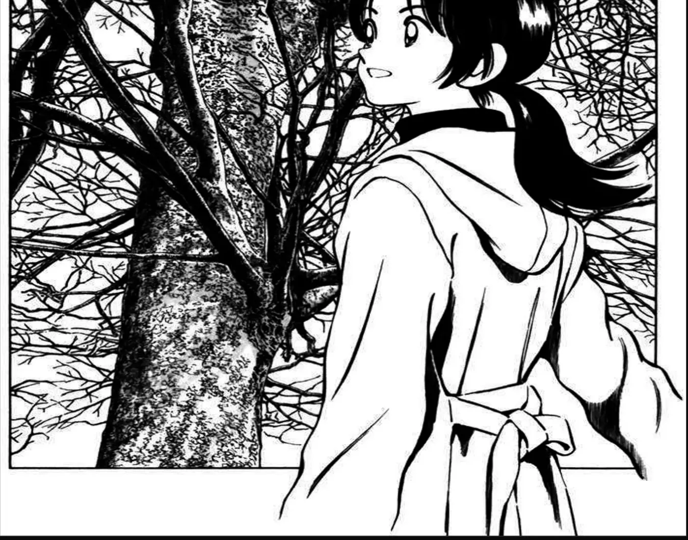 Q And A Chap 33 - Next Chap 34