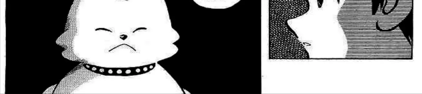 Q And A Chap 7 - Next Chap 8