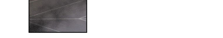 Quái Thú Bị Thuần Hóa Bởi Ác Nữ Chap 13 - Next Chap 14