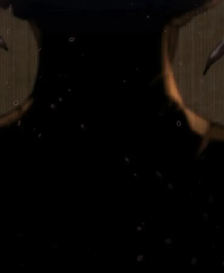 Quái Vật Đụng Độ Quái Vật Chap 3 - Next Chap 4