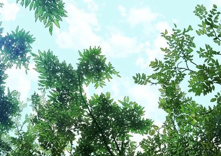 Quản Gia Cấp S Chap 13 - Next Chap 14