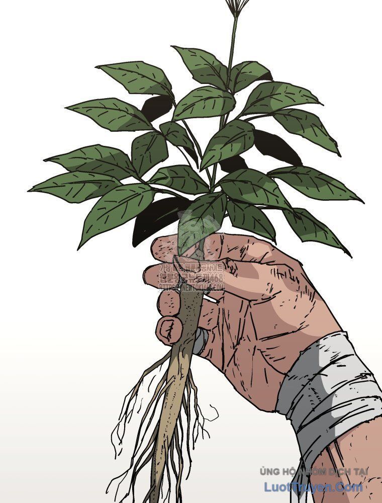 Quân Lâm Thiên Hạ 2 Chap 3 - Next Chap 4