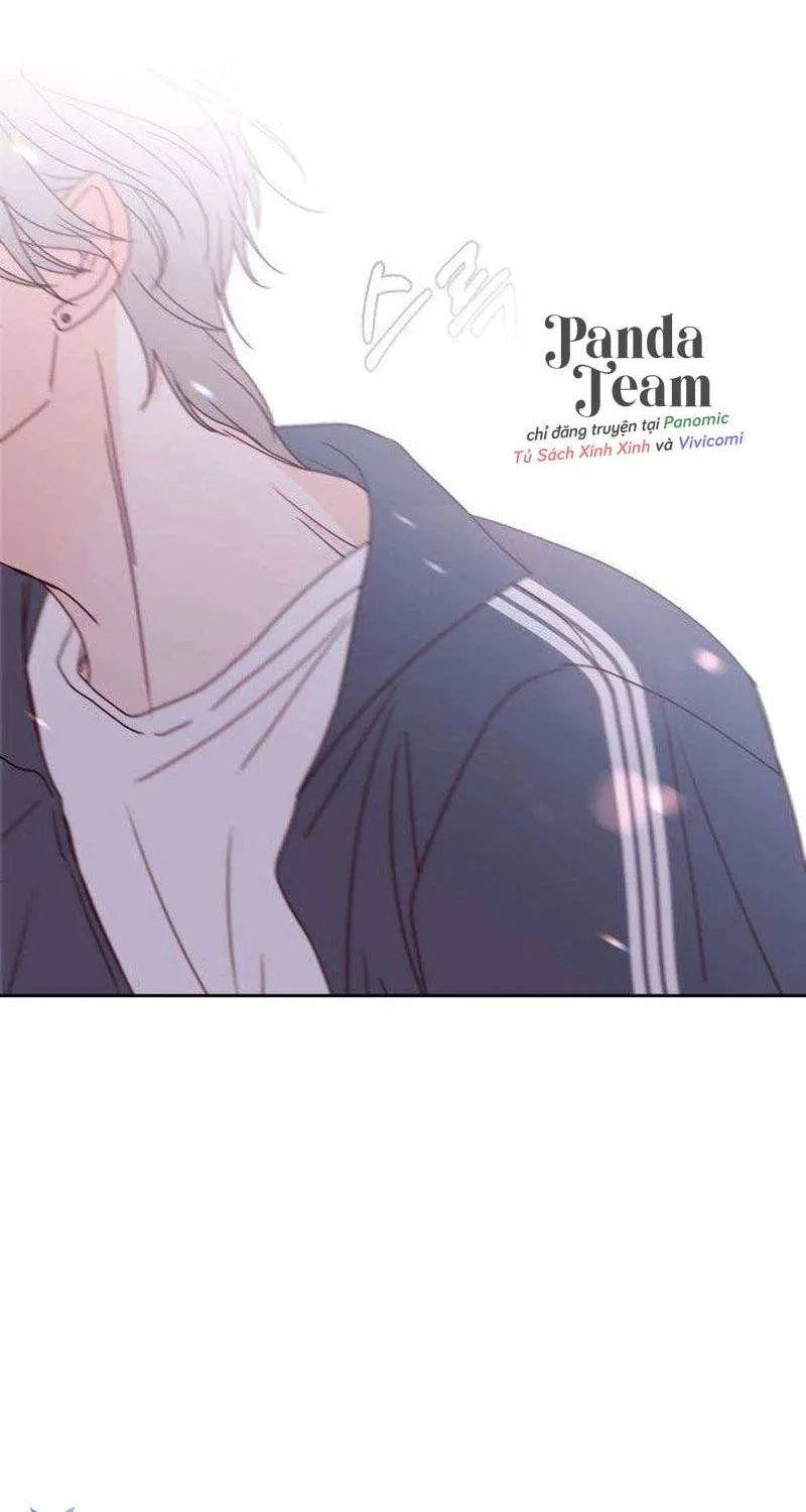 Quân Sư Tình Yêu Của Tôi Chap 19 - Next Chap 20