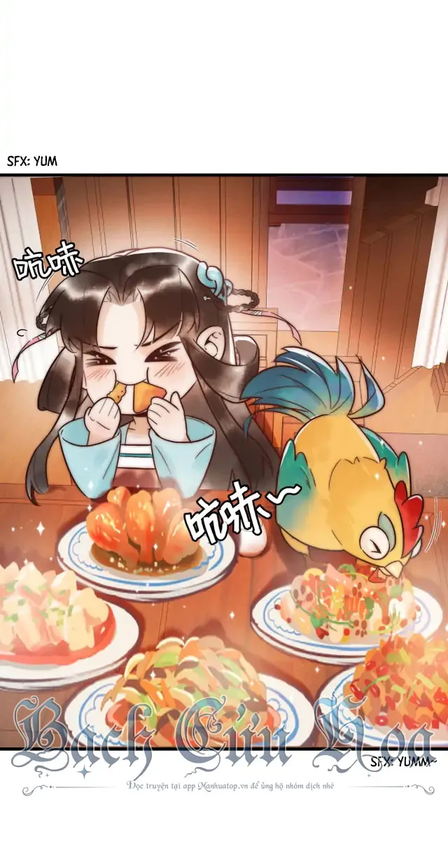 Quốc Y Cuồng Phi Chap 2 - Next Chap 3