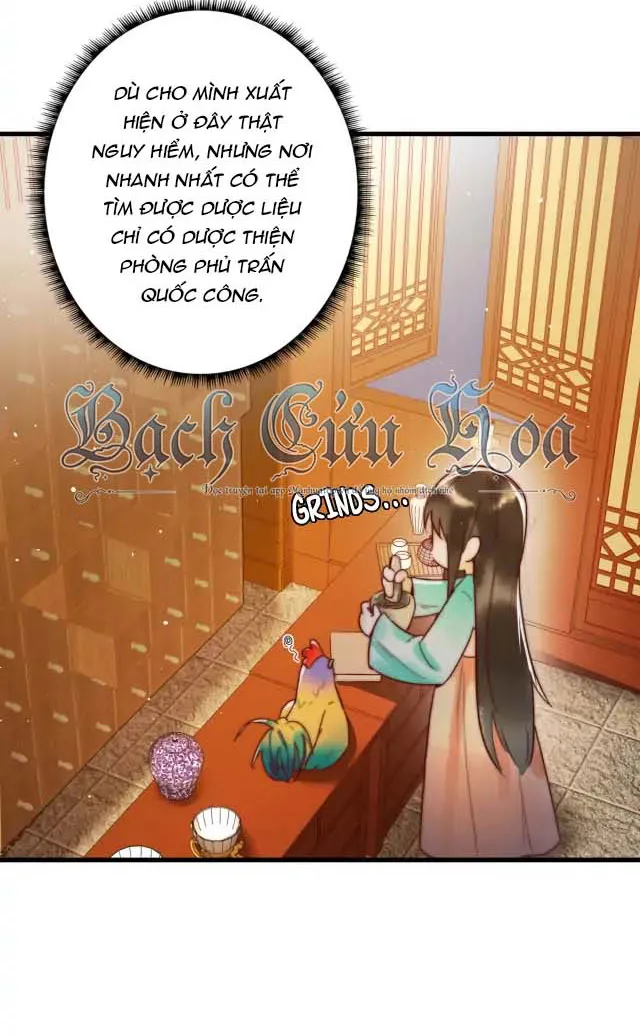 Quốc Y Cuồng Phi Chap 3 - Next Chap 4