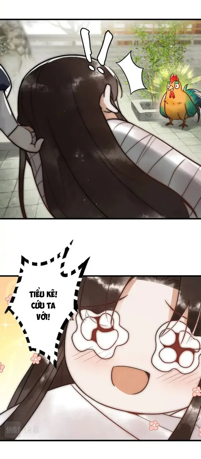 Quốc Y Cuồng Phi Chap 5 - Next Chap 6