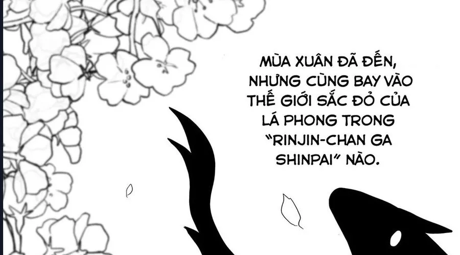 Rinjin-Chan Ga Shinpai Chap 11 - Next Chap 12